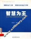 智慧为王