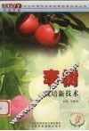 李树栽培新技术