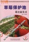 草莓保护地栽培新技术
