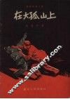 在大孤山上  防奸反特小说