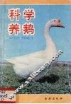 科学养鹅