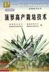菠萝高产栽培技术