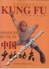 中国少林功夫  天下功夫出少林