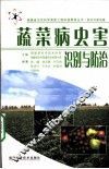 蔬菜病虫害识别与防治  新农村建设篇