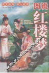 图说红楼梦