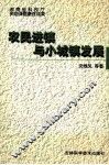农民进镇与小城镇发展