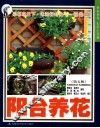 阳台养花  第5版