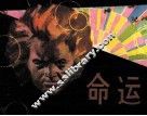 命运 封面