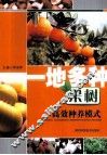 一地多种果树高效种植模式