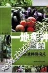 一地多种蔬菜高效种植模式