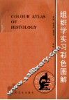 组织学实习彩色图解