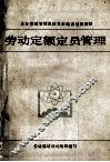 劳动定额定员管理