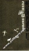 当代中国西南民族发展史论