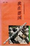 我在德国  一个女记者的旅德纪实