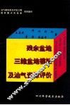 残余盆地三维盆地模拟及油气资源评价
