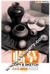 素描静物  对比临摹  2