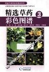 精选草药彩色图谱  3