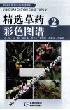 精选草药彩色图谱  2