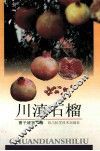 川滇石榴