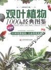 观叶植物1000种经典图鉴  终极版