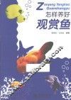 怎样养好观赏鱼
