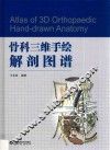 骨科三维手绘解剖图谱