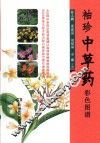 袖珍中草药彩色图谱