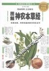 图解神农本草经  全彩图解典藏版
