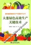 绿色蔬菜高效生产关键技术丛书  大葱绿色高效生产关键技术