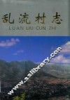 乱流村志