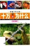 动物王国