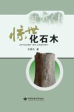 惊世化石木【齐国凡著】-PDF电子版