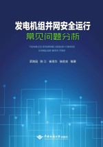 发电机组并网安全运行常见问题分析【孟路园】-PDF电子版
