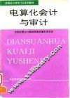 电算化会计与审计