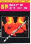 世界绝妙广告点子1000例