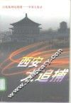 西安大追捕  百集系列电视剧-中国大案录