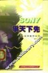 争天下先  日本索尼公司
