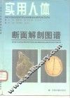 实用人体断面解剖图谱