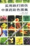 实用跌打损伤中草药彩色图集
