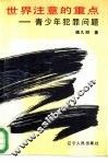 世界注意的重点  青少年犯罪问题