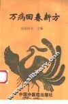 万病回春新方