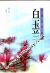 白玉兰