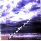 去年冬天在墨尔本