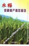 水稻良种高产高效栽培