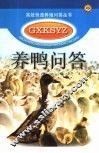 养鸭问答