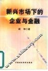 新兴市场下的企业与金融