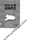 湖北发展战略研究