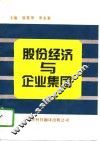 股份经济与企业集团