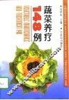 蔬菜养疗148例