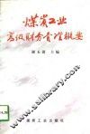 煤炭工业高级财务管理概要